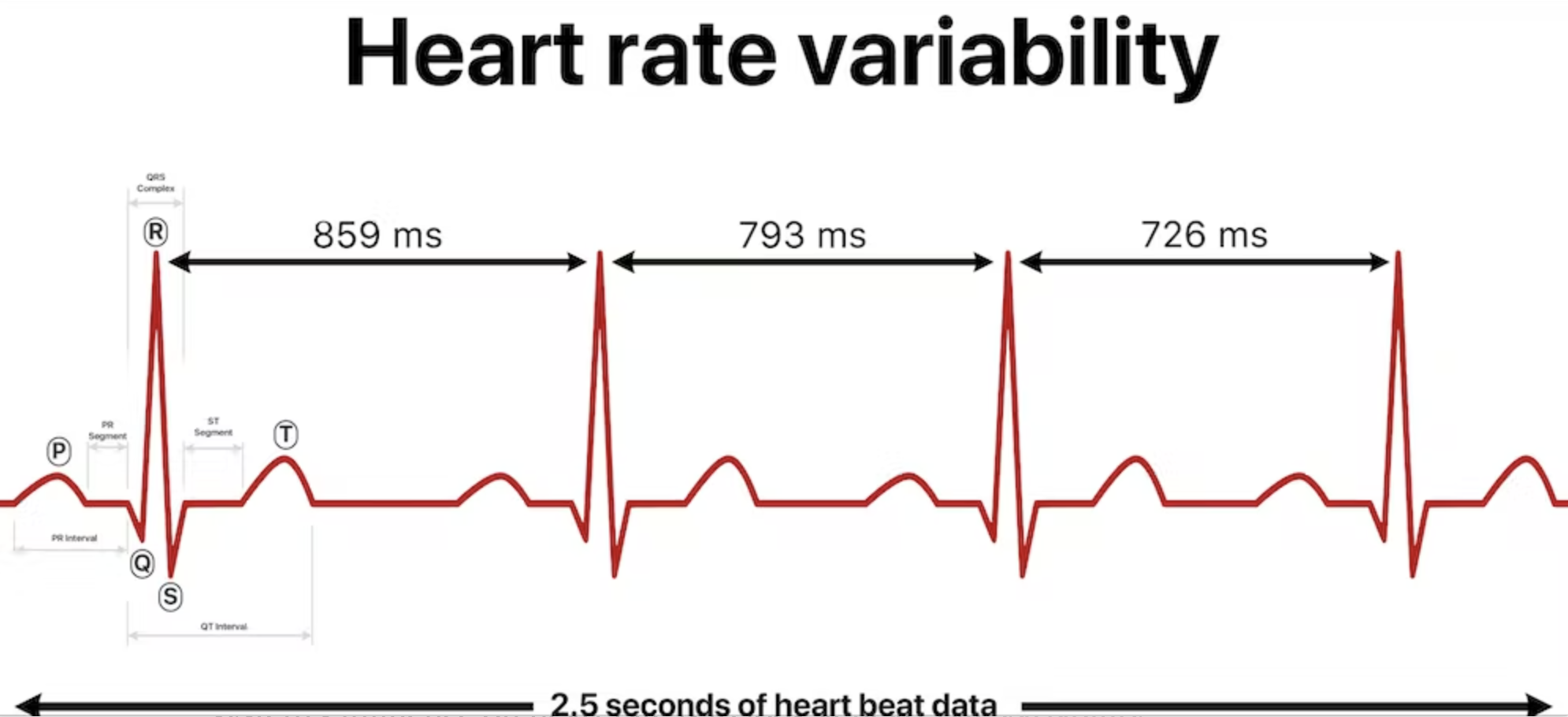 Co byste měli vědět o variabilitě srdeční frekvence – biometrický údaj, který měří většina fitness trackerů