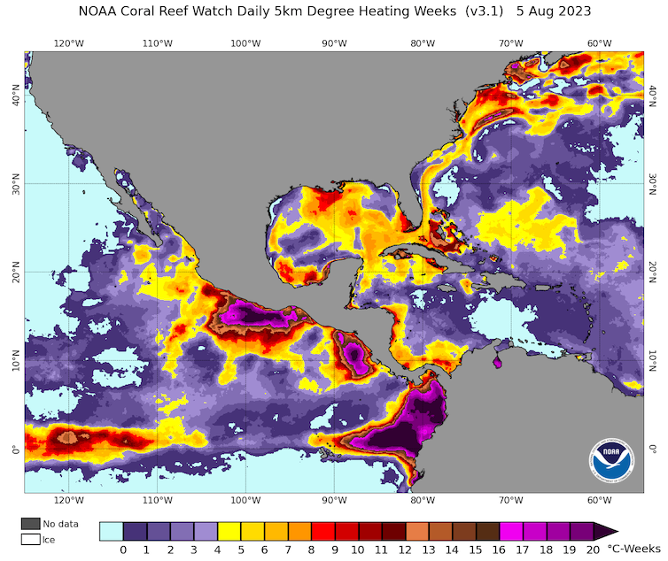 Mapa ukazuje vysoké teplo u Floridy a Baham a také v tropickém Pacifiku podél rovníku, kde teplá voda ukazuje podmínky El Nino.