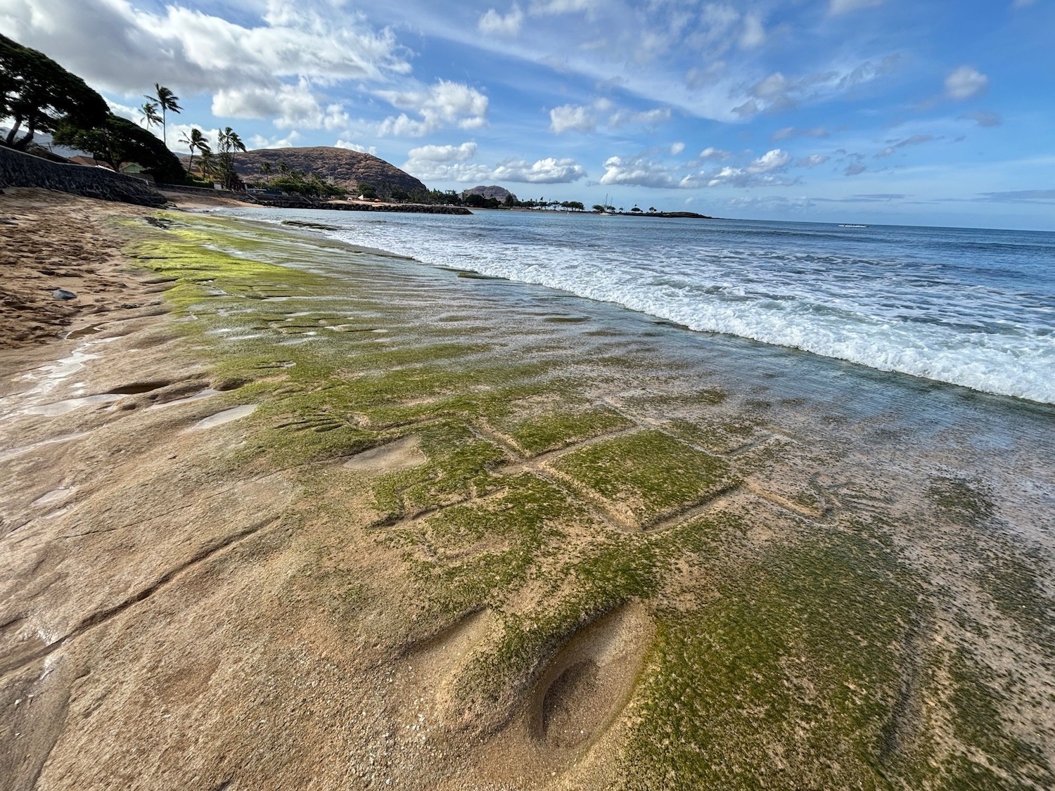 Havajské petroglyfy na pískovcové pláži vedle oceánu s horami na dálku