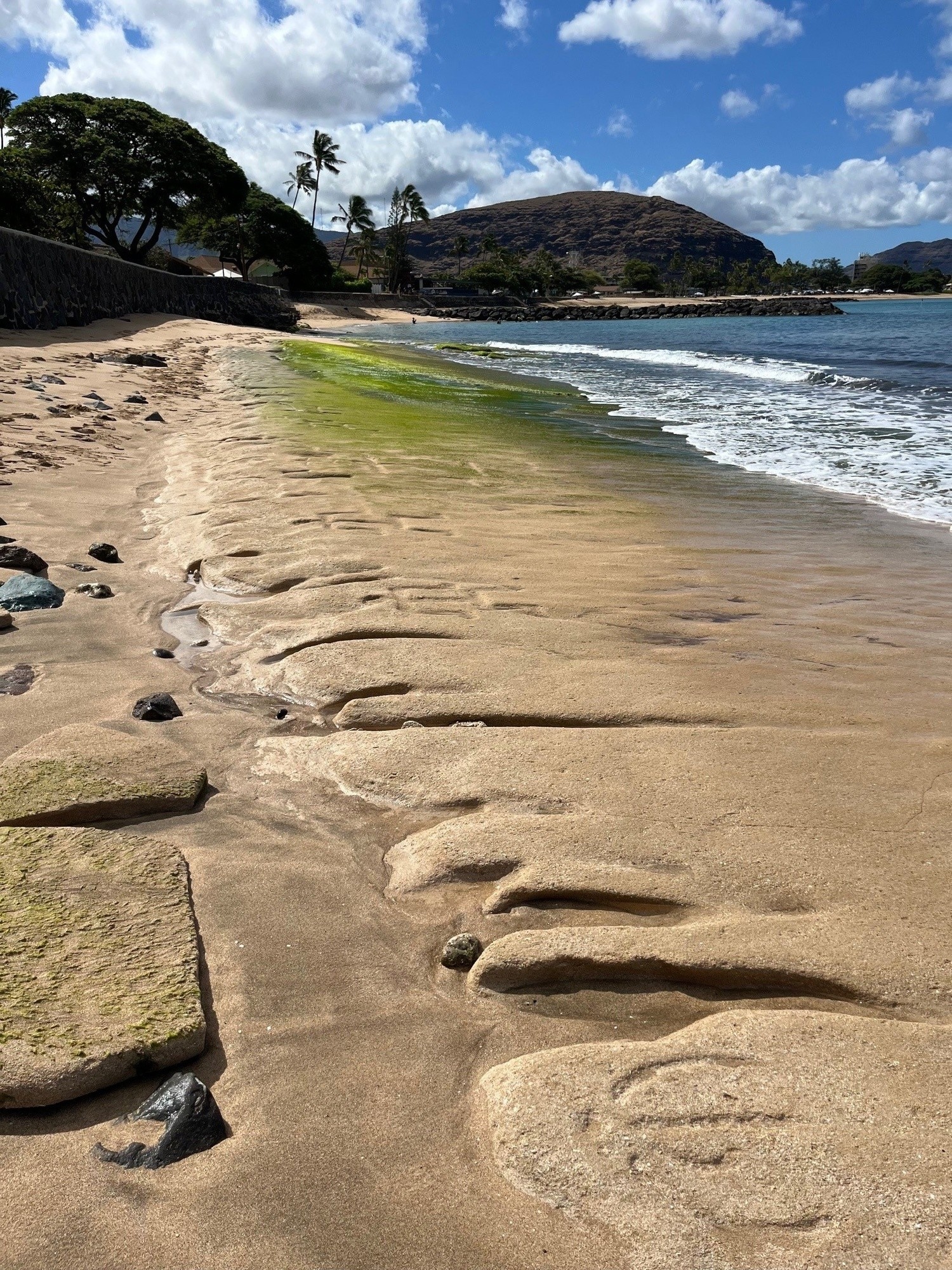 Havajské petroglyfy na pískovcové pláži vedle oceánu s horami na dálku