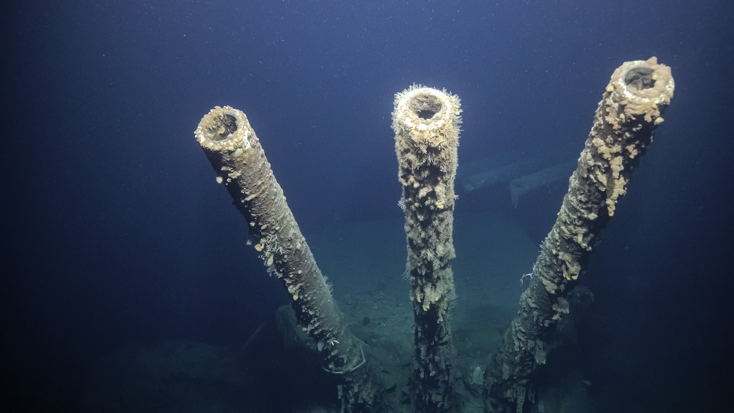 Zbraně na USS Vincennes Shipwreck