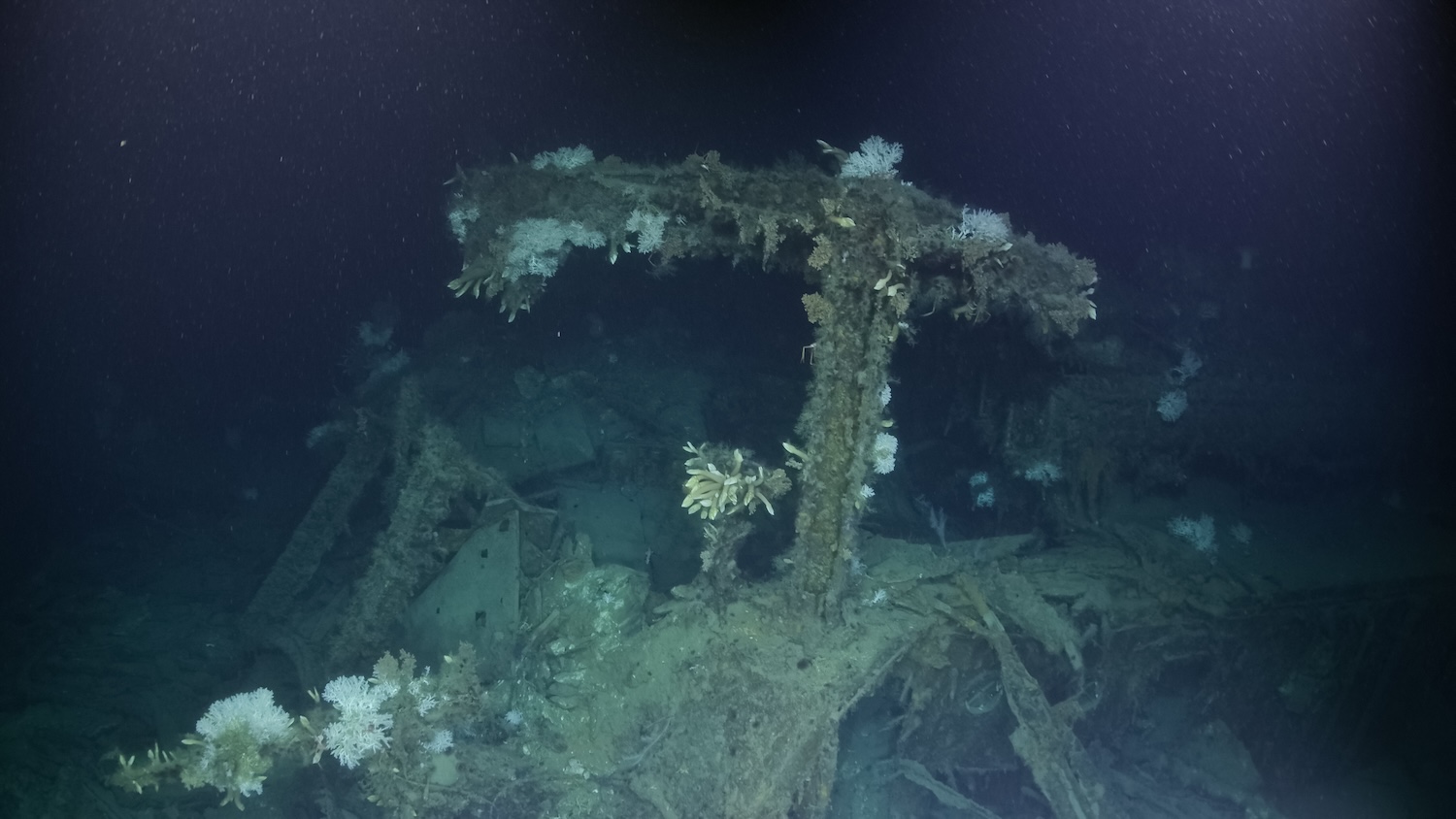 Shipwrek pokrytý barnacles