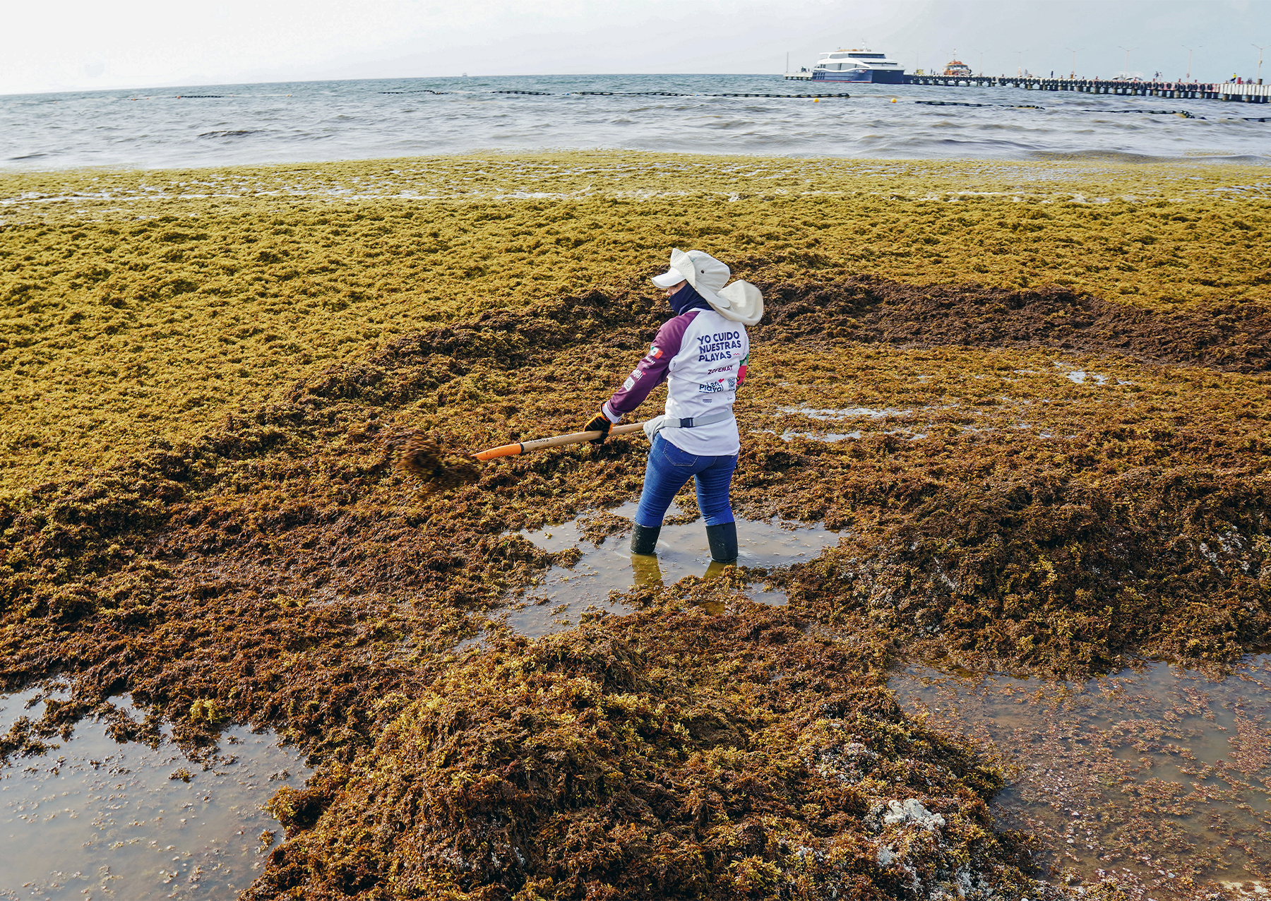 Pracovník odstraňuje Sargassum z pobřeží pláže Playa del Carmen ve státě Quintana Roo v Mexiku 18. června 2025. Velká množství planktonických makrořas známých jako Sargassum ucpává mexické pláže a způsobuje značné ekonomické ztráty na turistické společnosti, a to jak z hlediska nákladů na vyčištění, tak z hlediska nákladů na čištění a z hlediska nákladů na čištění a z hlediska nákladů na vyčištění, tak z hlediska nákladů na čištění.