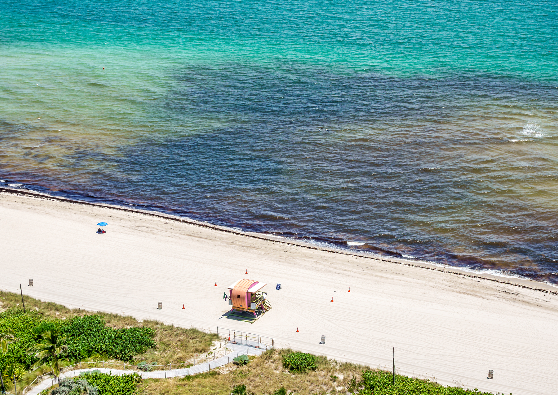 Sargassum nad Ocean Terrace Public Beach v Miami na Floridě. Kredit: Jeffrey Greenberg/Universal Images Group prostřednictvím Getty Images