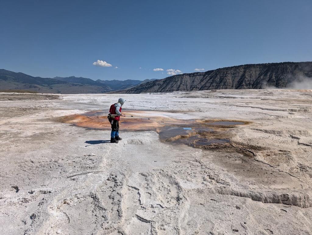 Členka týmu týmu Yellowstone National Park Geology Program Mara Reed používá k odstranění mapy parku dlouhý pól Grabber, pravděpodobně foukanou z ruky návštěvníka nebo balení větrem, z funkce v horních mamutích terasech. Kredit: National Park Service Photo od Samantha Hilburn, srpen 2025.