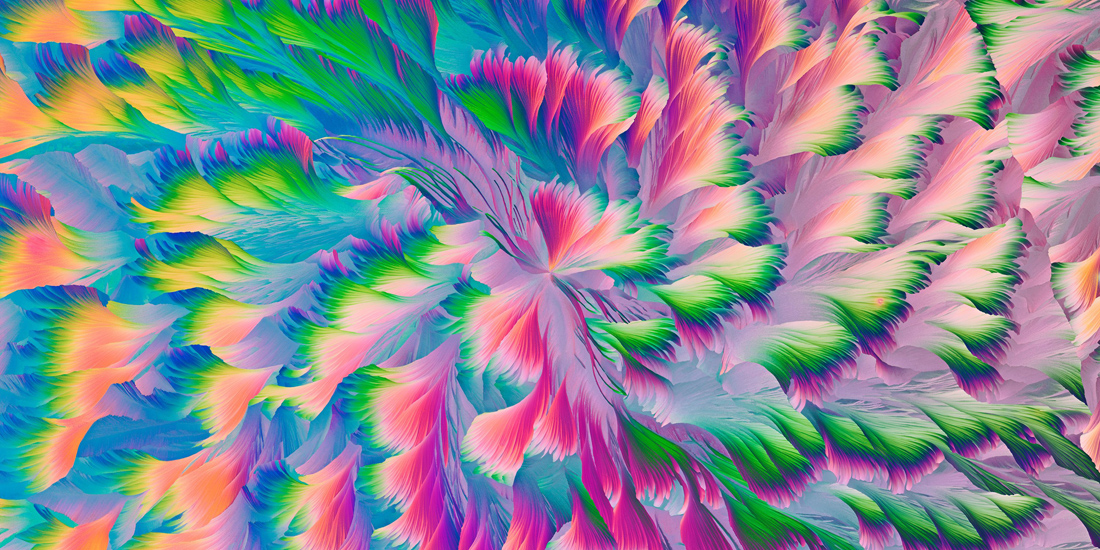 modré, růžové, žluté, zelené a fialové okvětní lístky 