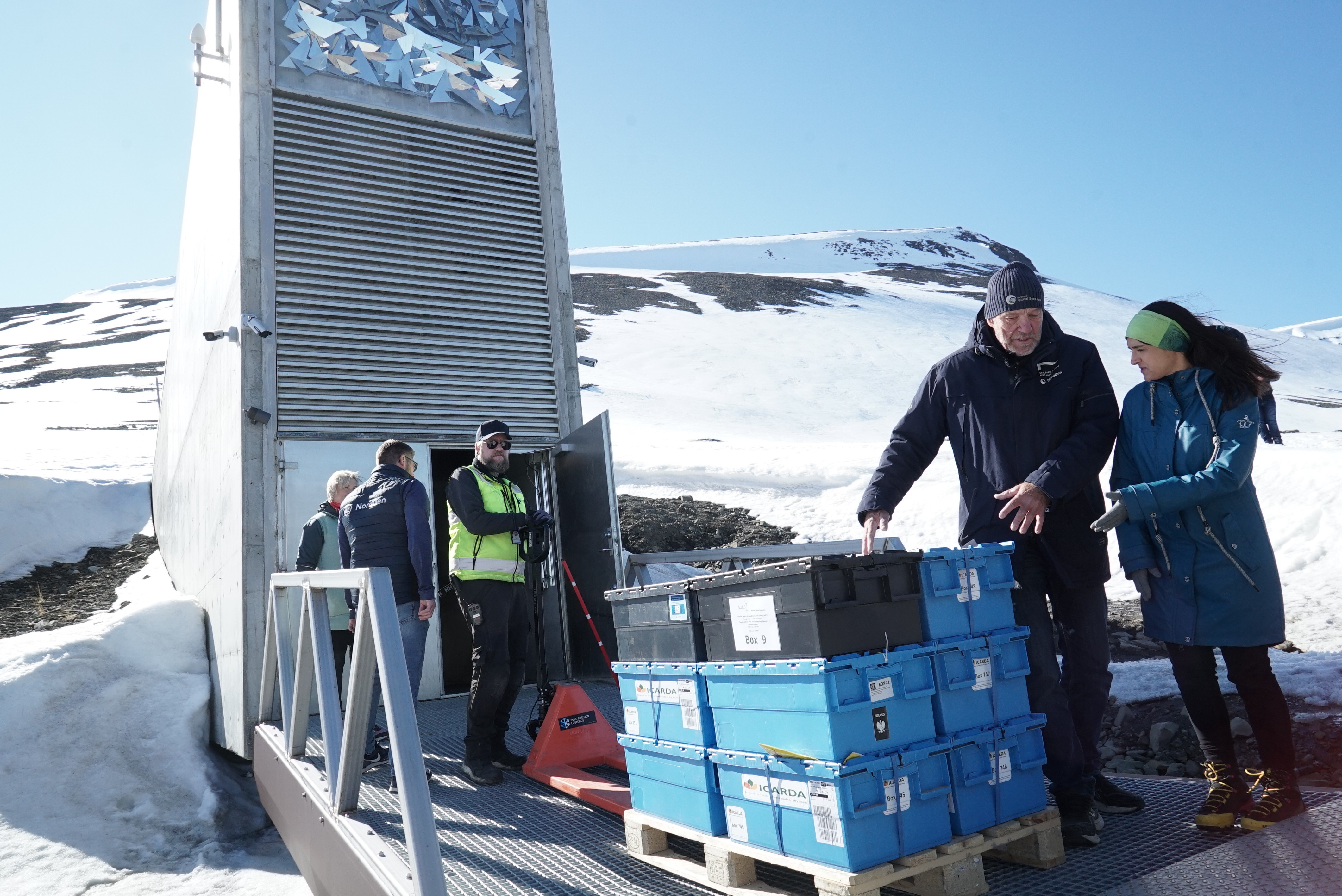 Betonový vchod do Svalbard Global Seed Vault je zasazený do zasněženého úbočí hory pod jasnou modrou oblohou. V popředí je několik lidí shromážděných na kovovém chodníku poblíž otevřených dveří trezoru. Stoh modrých a černých skladovacích beden, označených "ICARDA" logo, spočívá na dřevěné paletě, když k nim gestikuluje muž v tmavé bundě.