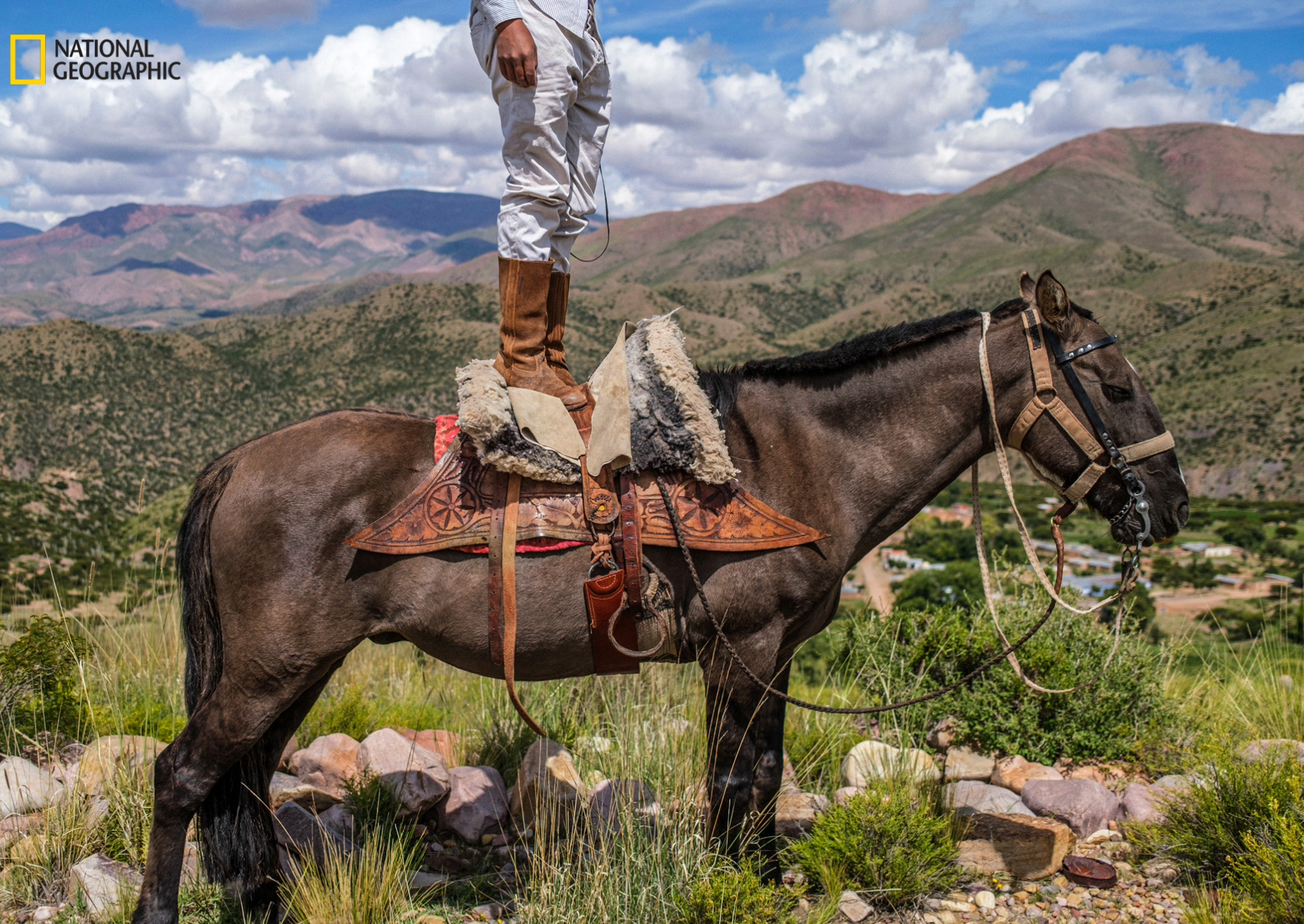 muž stojí na sedle černého koně