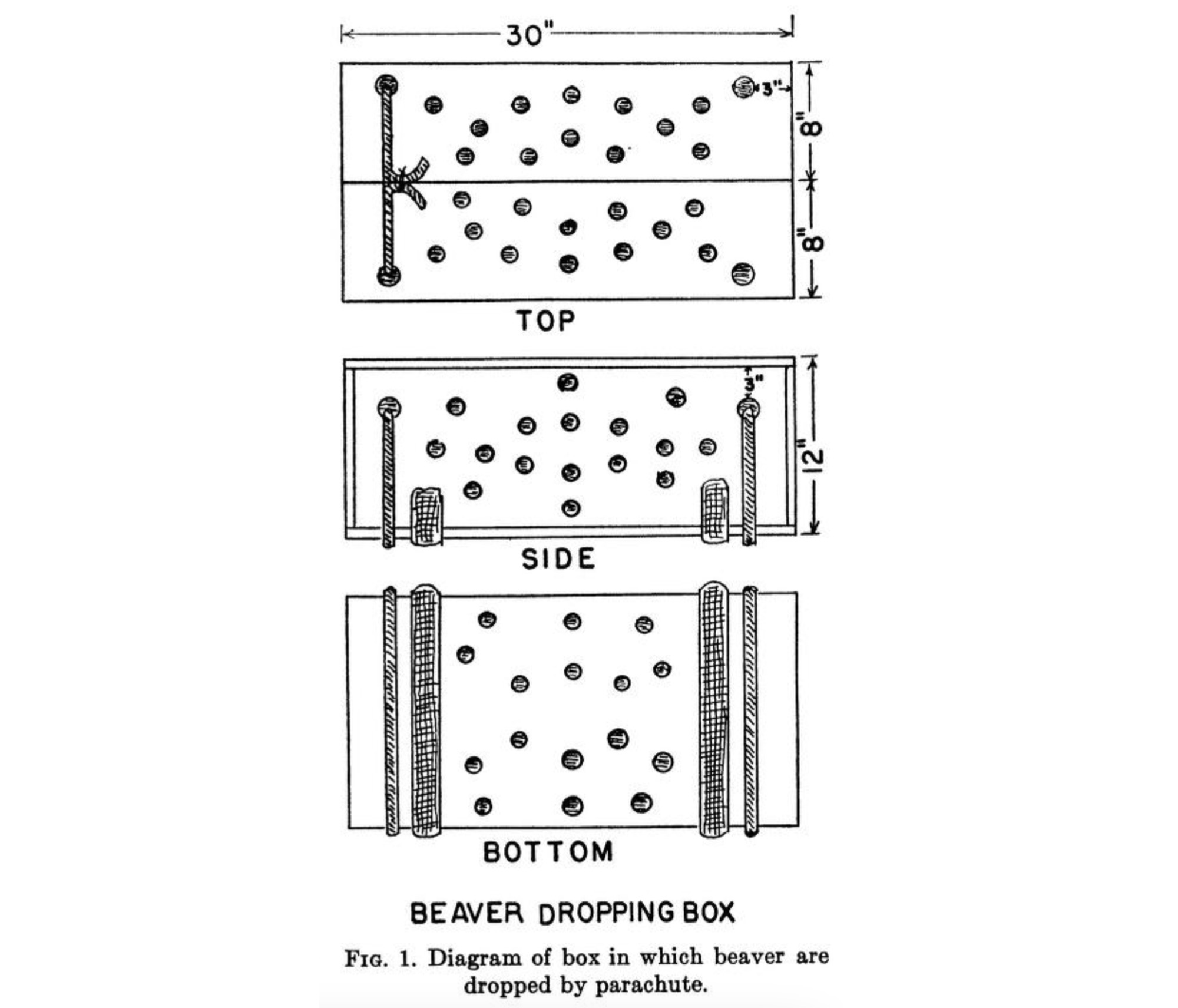 Černobílé schéma staré školy ukazuje tři různé panely označené jako horní, boční a spodní. Diagram má název "Bobrová krabička."