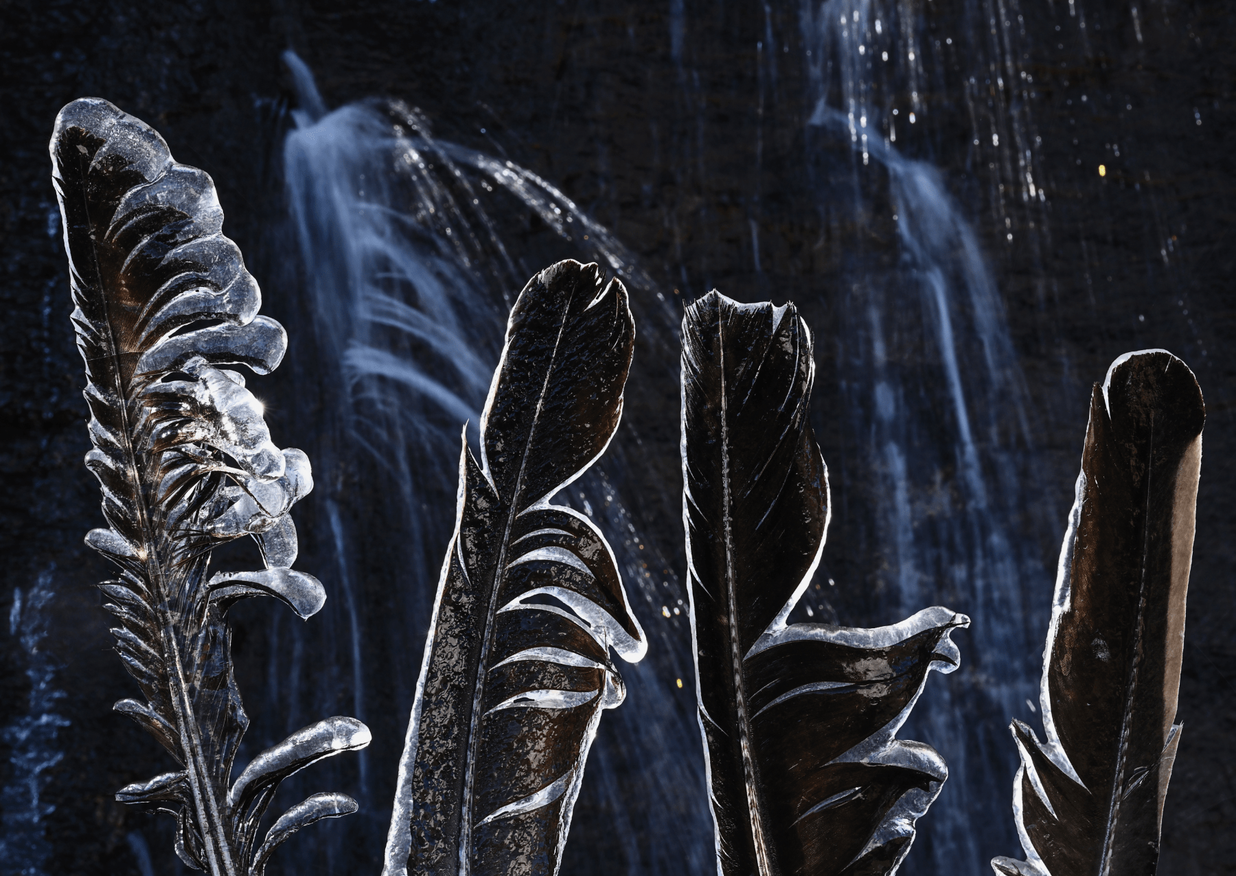 ptačí peří s ledem na nich