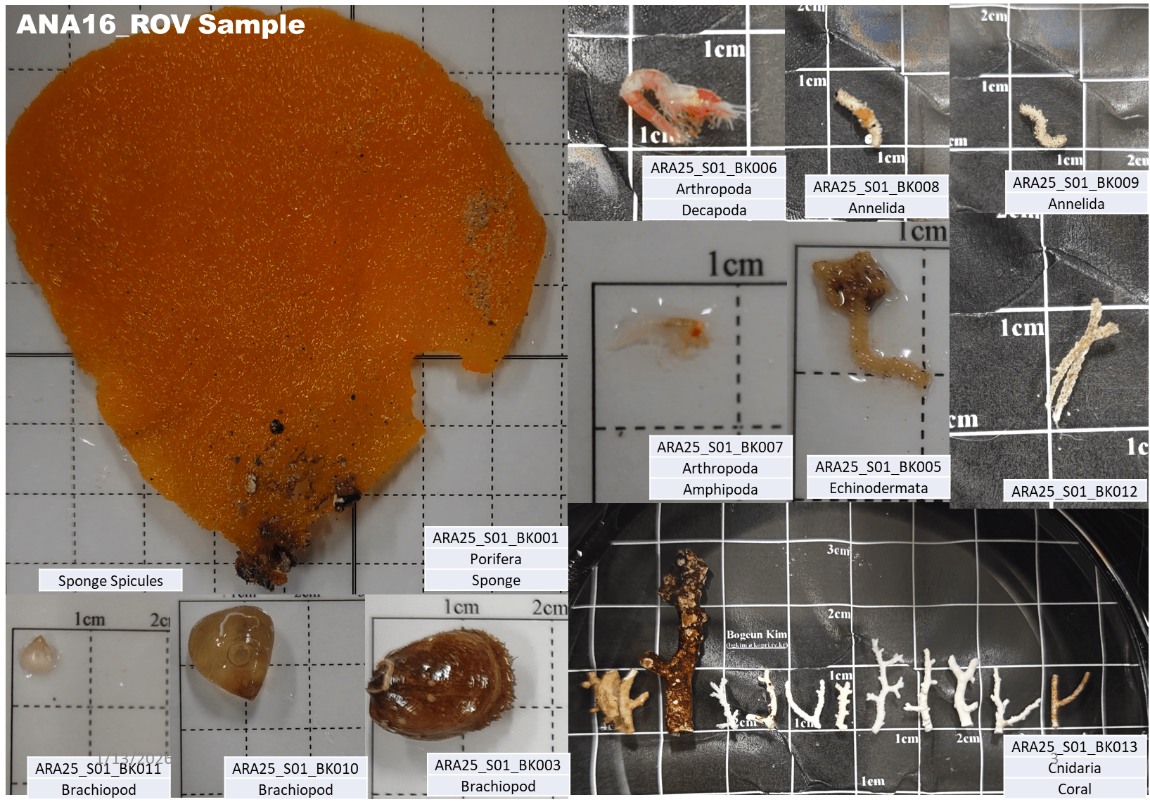 Odebrané biologické vzorky